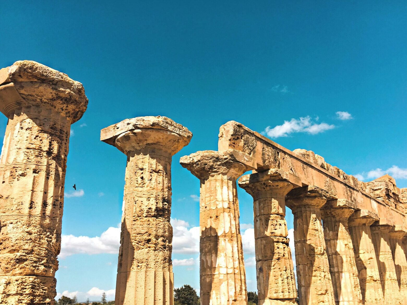 The Doric temples of the Greek colonies, still standing in the south west.